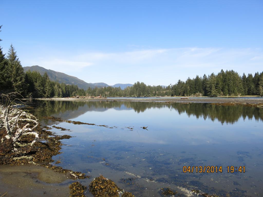 A Shack In The Woods Villa Port Renfrew Bilik gambar