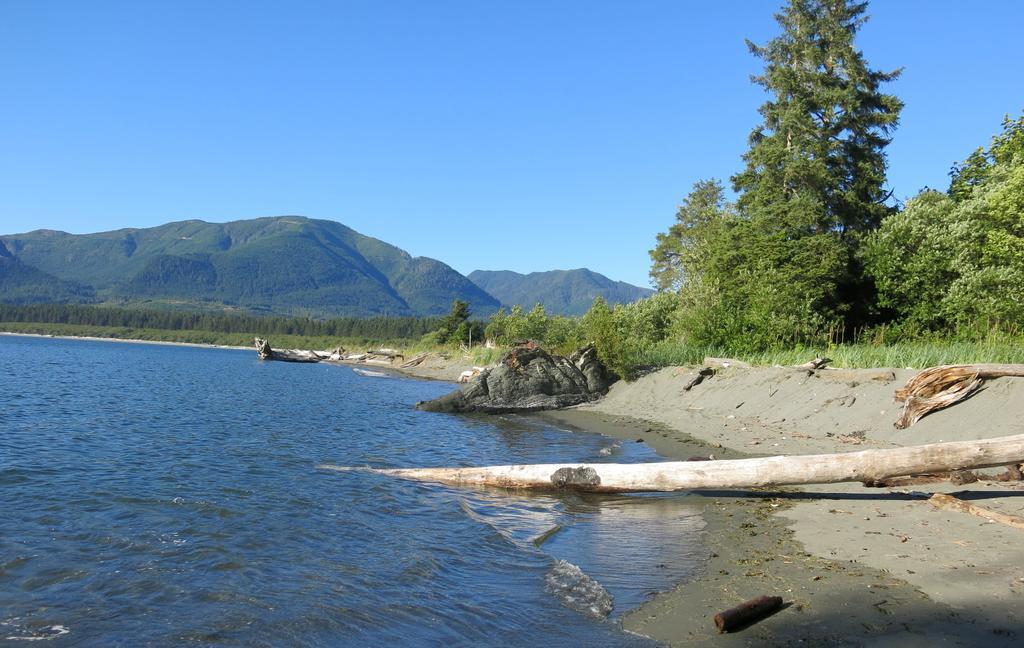 A Shack In The Woods Villa Port Renfrew Bilik gambar
