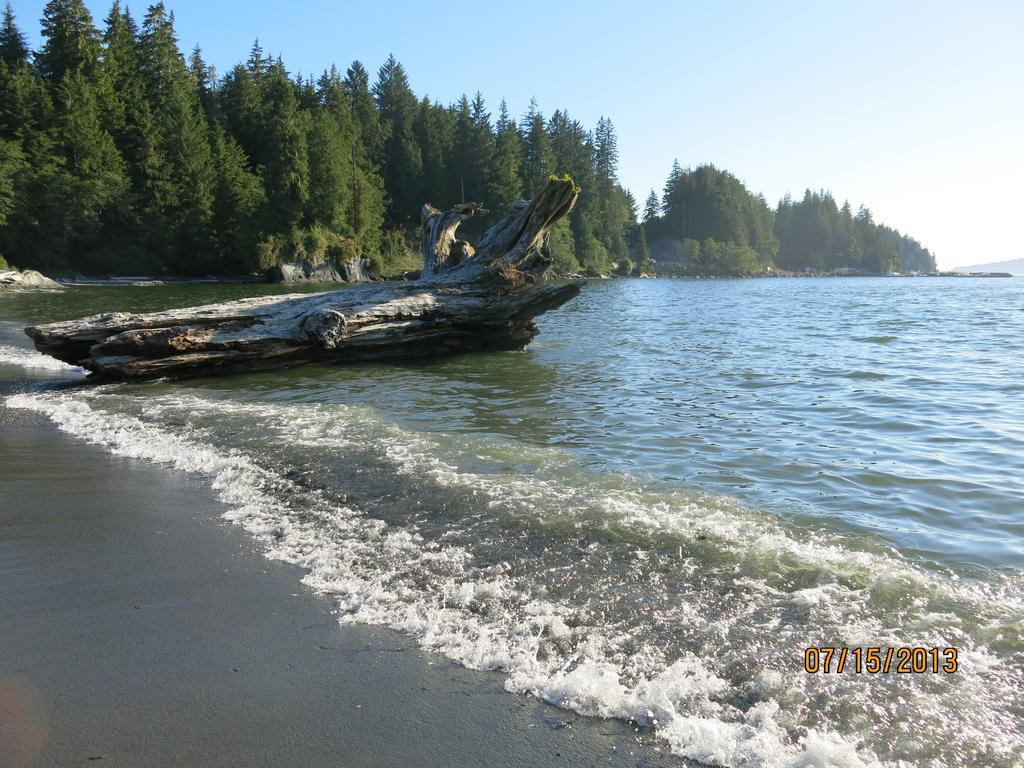 A Shack In The Woods Villa Port Renfrew Bilik gambar